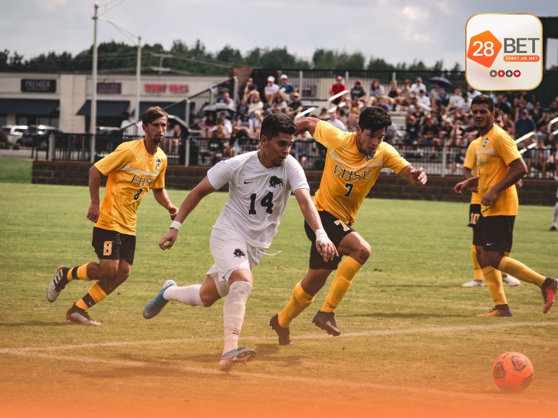 Hướng dẫn đọc các tỷ lệ Kèo Châu Á từ cơ bản đến nâng cao